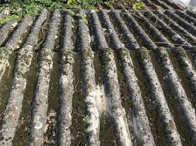 Réaliser vos travaux 25 Fenêtres de toit 25